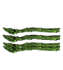 asparagus-2.gif