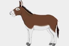 Travelling Musicians