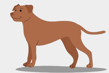 Travelling Musicians