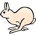 fast.gif