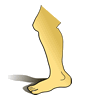 leg-2.gif