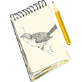 draw.gif