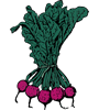 beet.gif