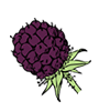 blackberry.gif