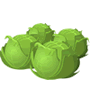 cabbages-2.gif