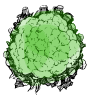 cauliflower-2.gif
