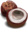coconut-2.gif
