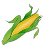 corn-2.gif