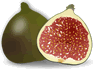 fig-2.gif