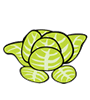 lettuce-2.gif