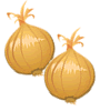 onion-2.gif