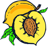 peach-2.gif