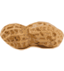 peanut.gif