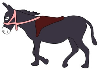 donkey
