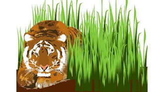 tiger